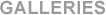 Peter Fiore Fine Art Galleries