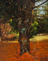 Peter Fiore Landscape Painting