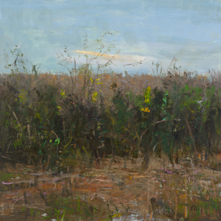Peter Fiore Landscape Painting