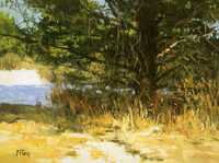 Peter Fiore Landscape Painting