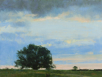 Peter Fiore Landscape