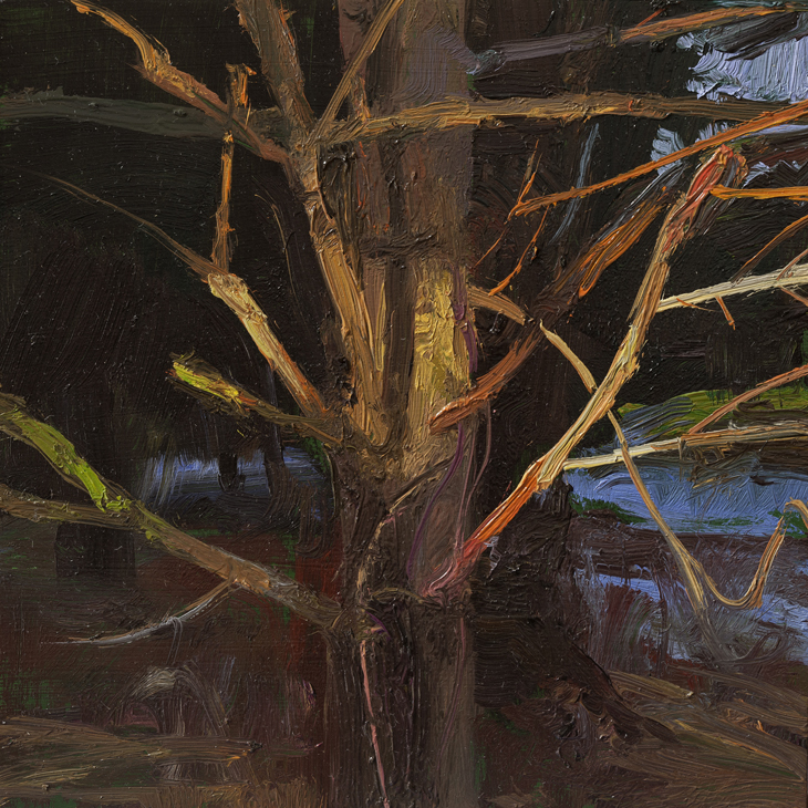 Peter Fiore Landscape Painting